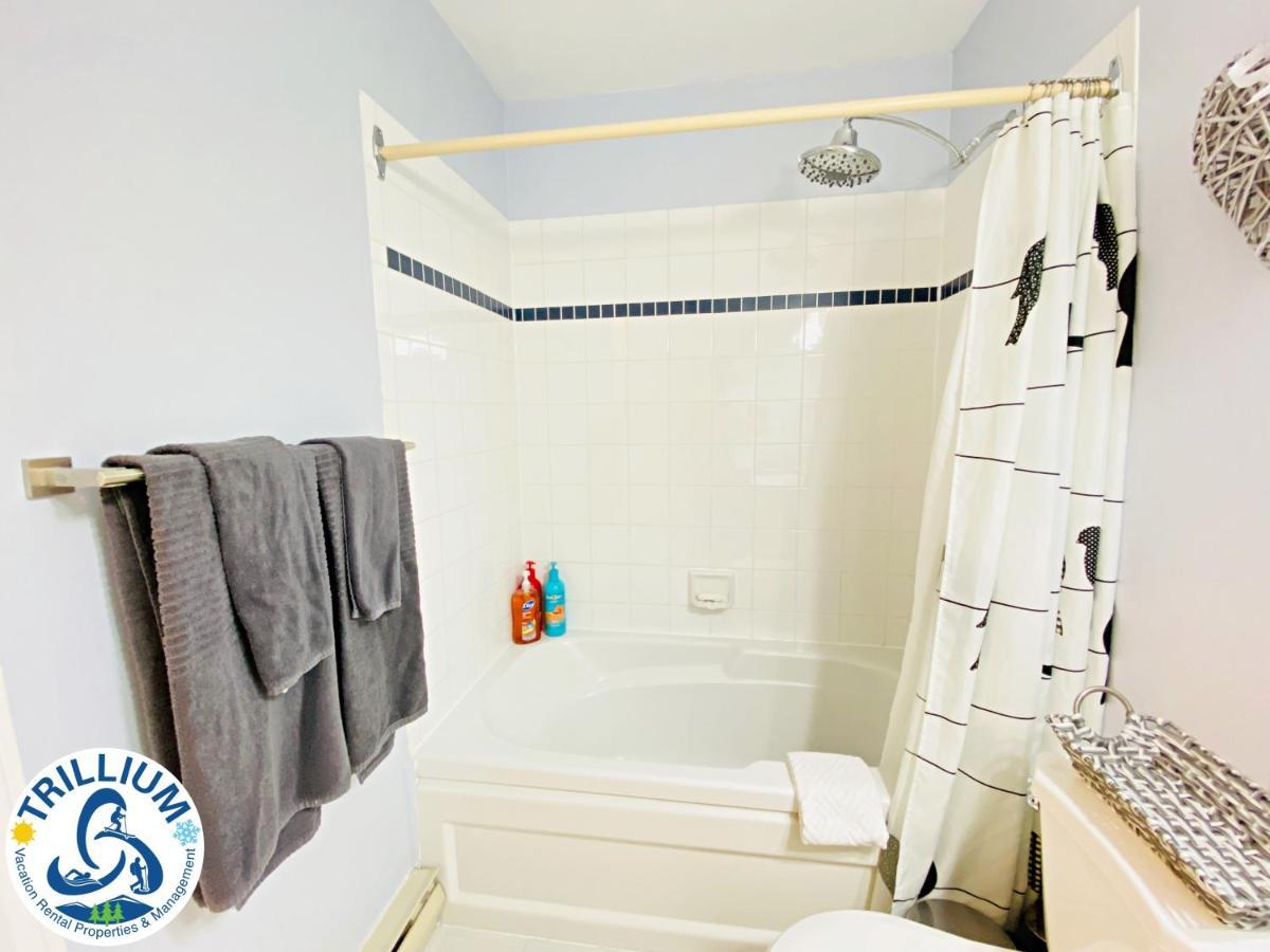 ההרים הכחולים Cozy Studio Loft With 2 Baths Next To Slopes מראה חיצוני תמונה