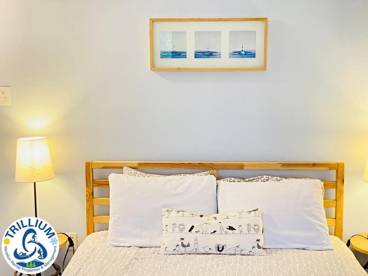 ההרים הכחולים Cozy Studio Loft With 2 Baths Next To Slopes מראה חיצוני תמונה