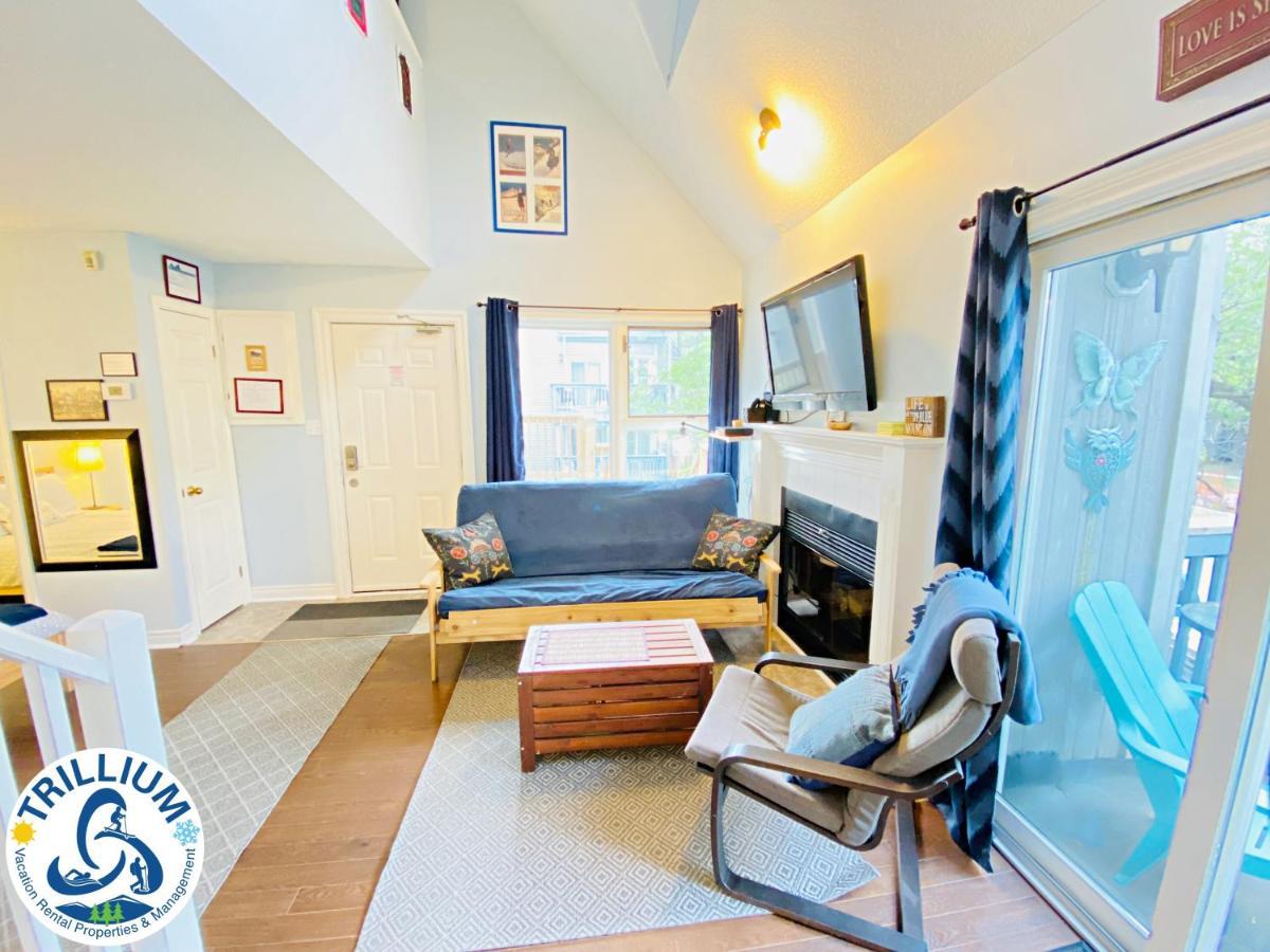 ההרים הכחולים Cozy Studio Loft With 2 Baths Next To Slopes מראה חיצוני תמונה