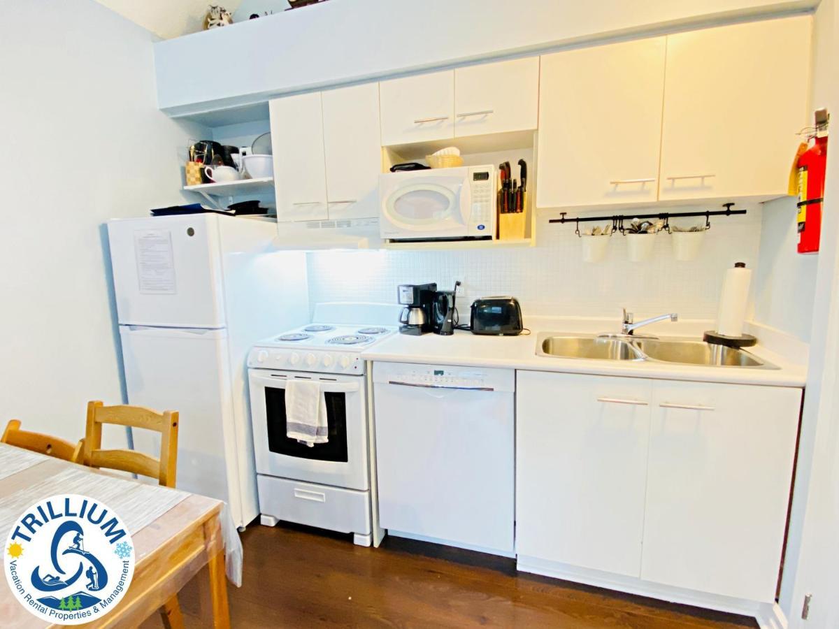 ההרים הכחולים Cozy Studio Loft With 2 Baths Next To Slopes מראה חיצוני תמונה