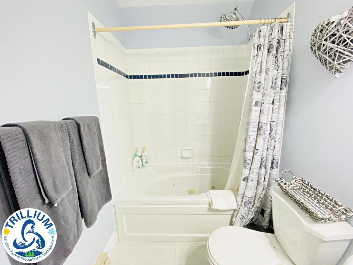 ההרים הכחולים Cozy Studio Loft With 2 Baths Next To Slopes מראה חיצוני תמונה
